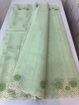 Viscose Organza saree with cutwork borders-MSH262 PistaGreen