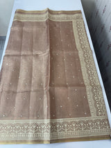 Tissue silk saree with Chikankari embroidery MTTS97(5)