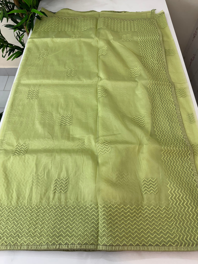 Organza saree with thread work BSONNYY LimeGreen