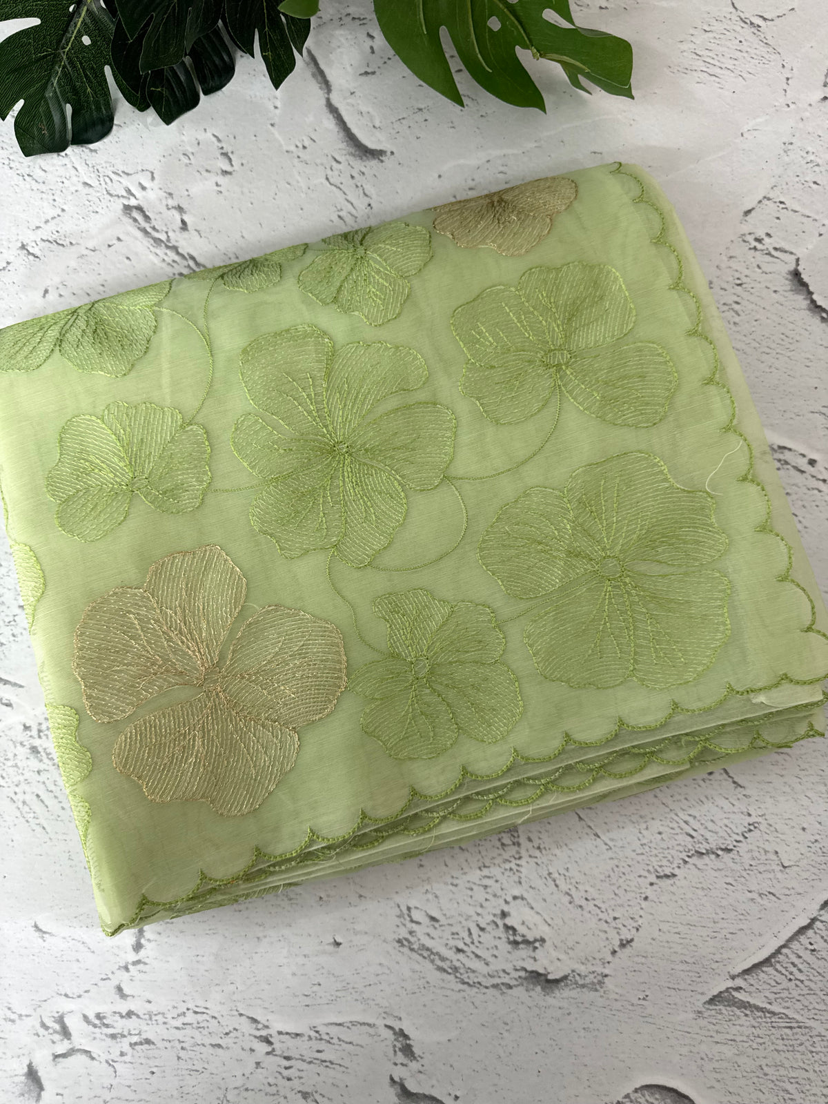 Viscose organza saree with thread work - MSH925 PastelGreen