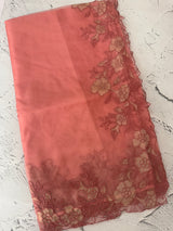 Semi Organza saree with applique borders - MCW799