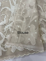 Semi organza saree with appliqué work - MSH906 PastelBrown