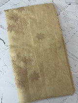 Tissue Silk applique work saree MSH120 Ivory