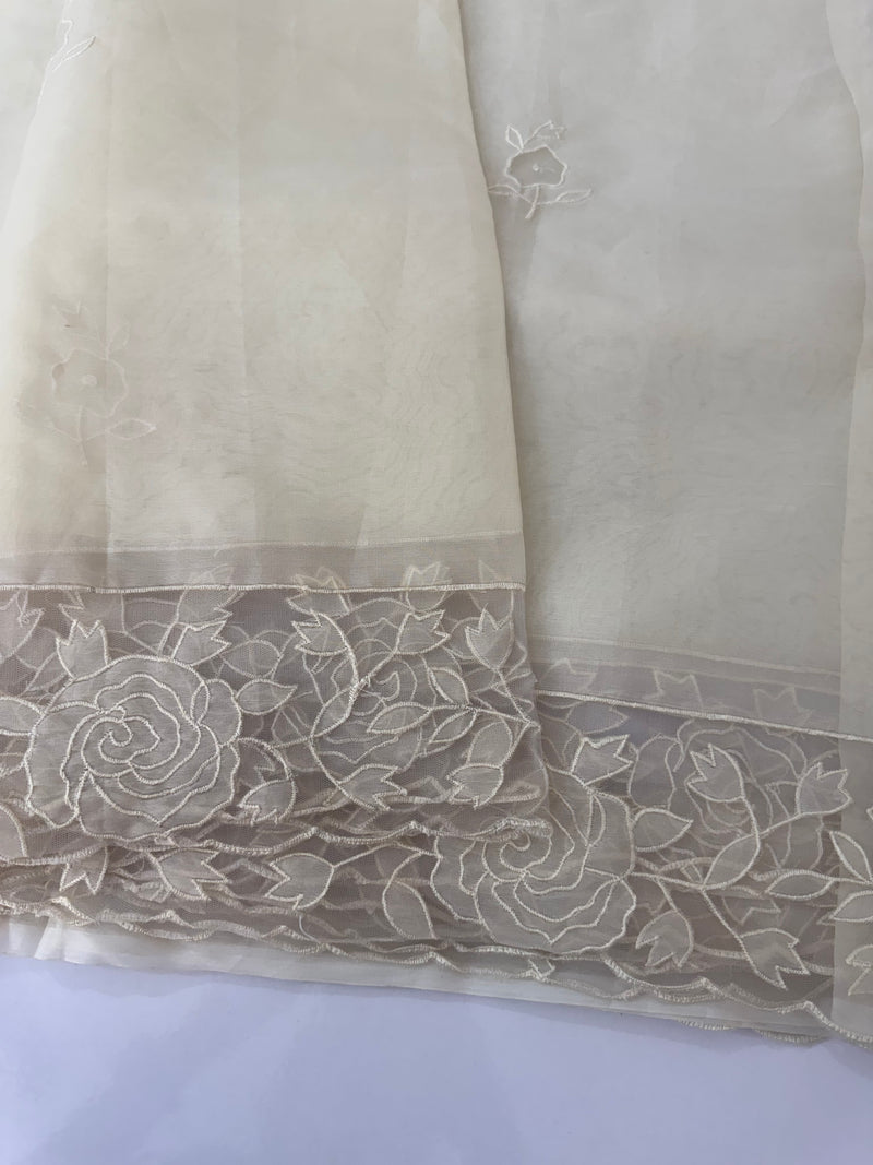 Viscose Organza saree with applique work-MSH101 Beige
