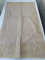 Soft Pashmina saree with organza Applique borders MSH251 Champagne Beige