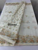 Organza saree with prints & hand embriodery work MS15333
