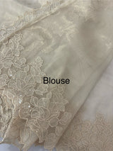 Tissue Organza silk saree with embroidery borders PNCK34 ChampagneGold