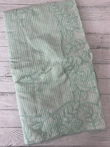 Striped Mul chanderi saree with applique borders MSH987 - Pastel BluemixGreen