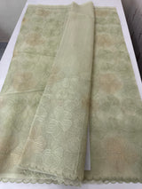 Viscose organza saree with thread work - MSH925 PastelDustyGreen
