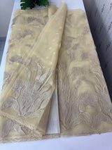 Organza saree with tissue applique work MS5081- Beige