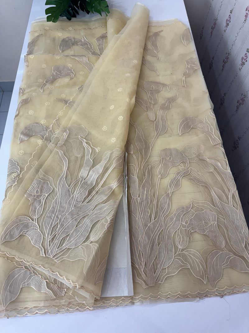 Organza saree with tissue applique work MS5081- Beige