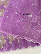 Semi organza saree with tissue applqiue work - MSH931