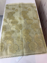 Organza saree with tissue applique work MS5081- Pastel DuskyGreen