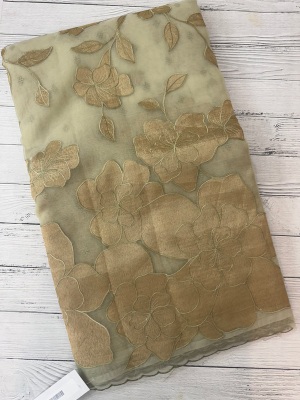 Organza saree with tissue applique work MS5081 - Pastel DuskyGreen