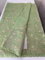 Semi organza saree with tissue applqiue work - MSH931