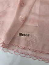 Tissue Organza saree with embroidery - MSH5509 Pastel PeachPink