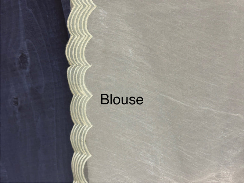 Tissue Organza Applique work saree MS15203