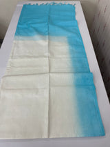 Semi tussar saree with thread work MTS1001 - OffWhite to Blue