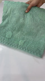 Tissue Organza Applique work saree MS14053
