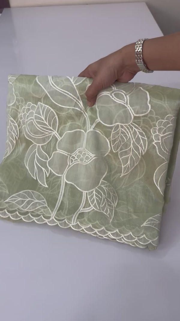 Tissue Organza Applique work saree MS15199- Pastel Green