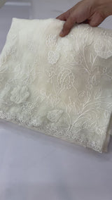 Tissue Organza Applique work saree MS14053