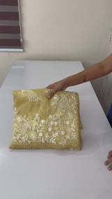 Tissue Organza saree with embroidery work MS15643