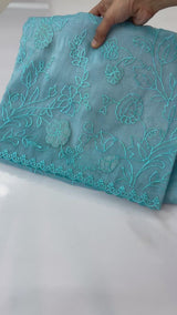 Tissue Organza Applique work saree MS14053