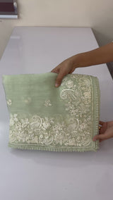 Tissue Organza saree with embroidery work MS14791