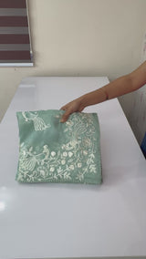 Tissue Organza saree with embroidery work MS15643