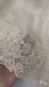 Tissue Organza silk saree with embroidery borders PNCK34 ChampagneGold