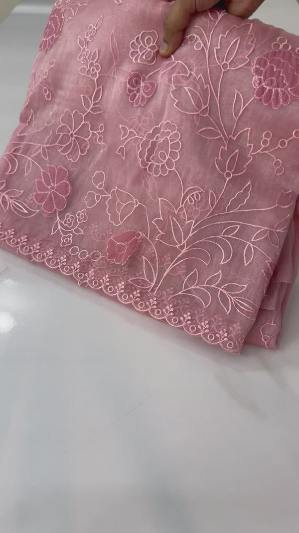 Tissue Organza Applique work saree MS14053