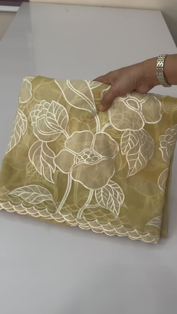 Tissue Organza Applique work saree MS15199- Creamy Yellow