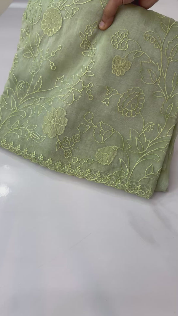 Tissue Organza Applique work saree MS14053