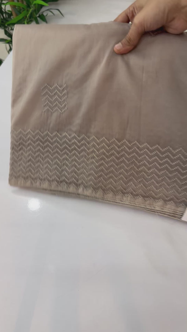 Organza saree with thread work BSONNYY- NudeBrown