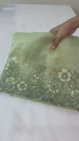 Tissue Organza saree MS14050
