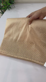 Organza saree with thread work BSONNYY- Beige